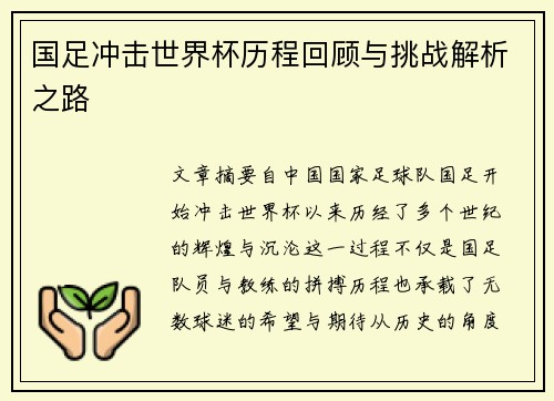国足冲击世界杯历程回顾与挑战解析之路