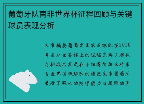 葡萄牙队南非世界杯征程回顾与关键球员表现分析